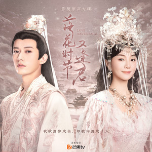 森林交易现场HD
