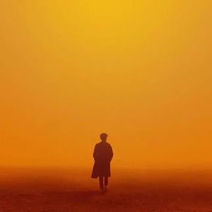 森林交易现场HD
