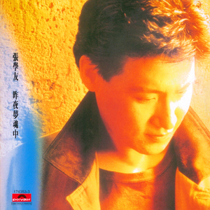 森林交易现场HD
