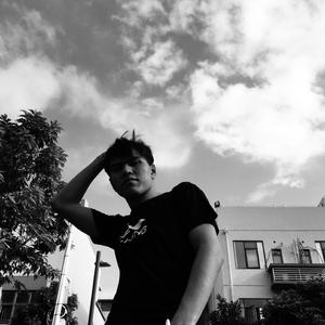 森林交易现场HD
