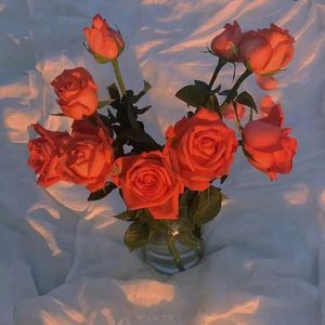 森林交易现场HD
