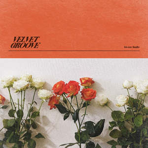 森林交易现场HD
